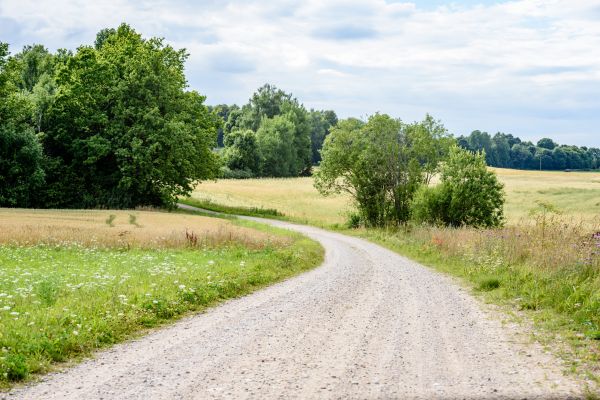 Cost of Stone Driveway Repair in Reston