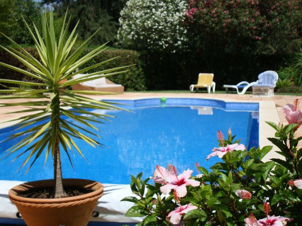 Cost of Pool Terrace Renovation in Reston