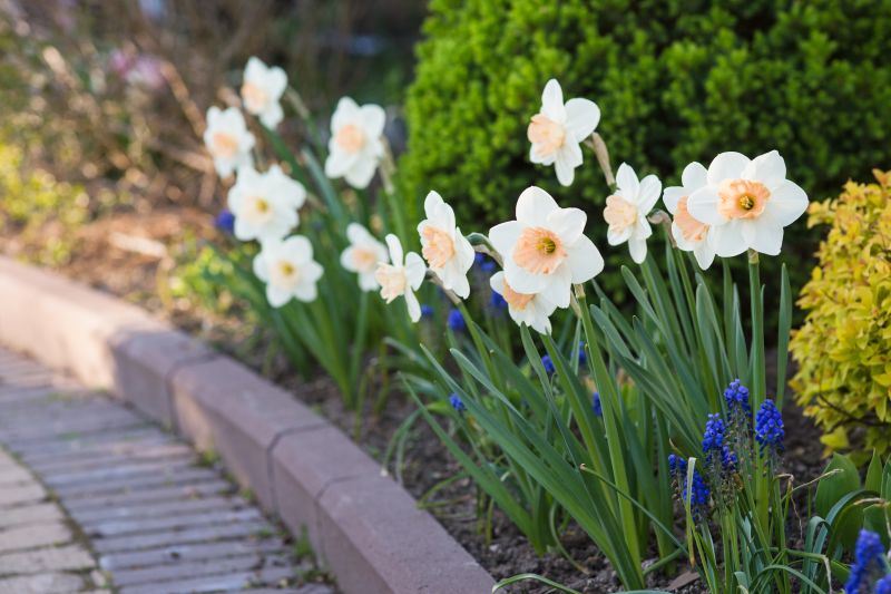 Elegant Border Detailing